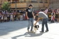 perros-alfaro (1).jpg